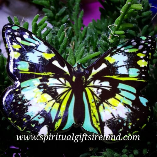 Butterfly Magnet Porcelain F