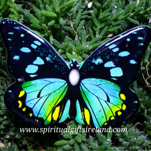 Butterfly Magnet Porcelain C